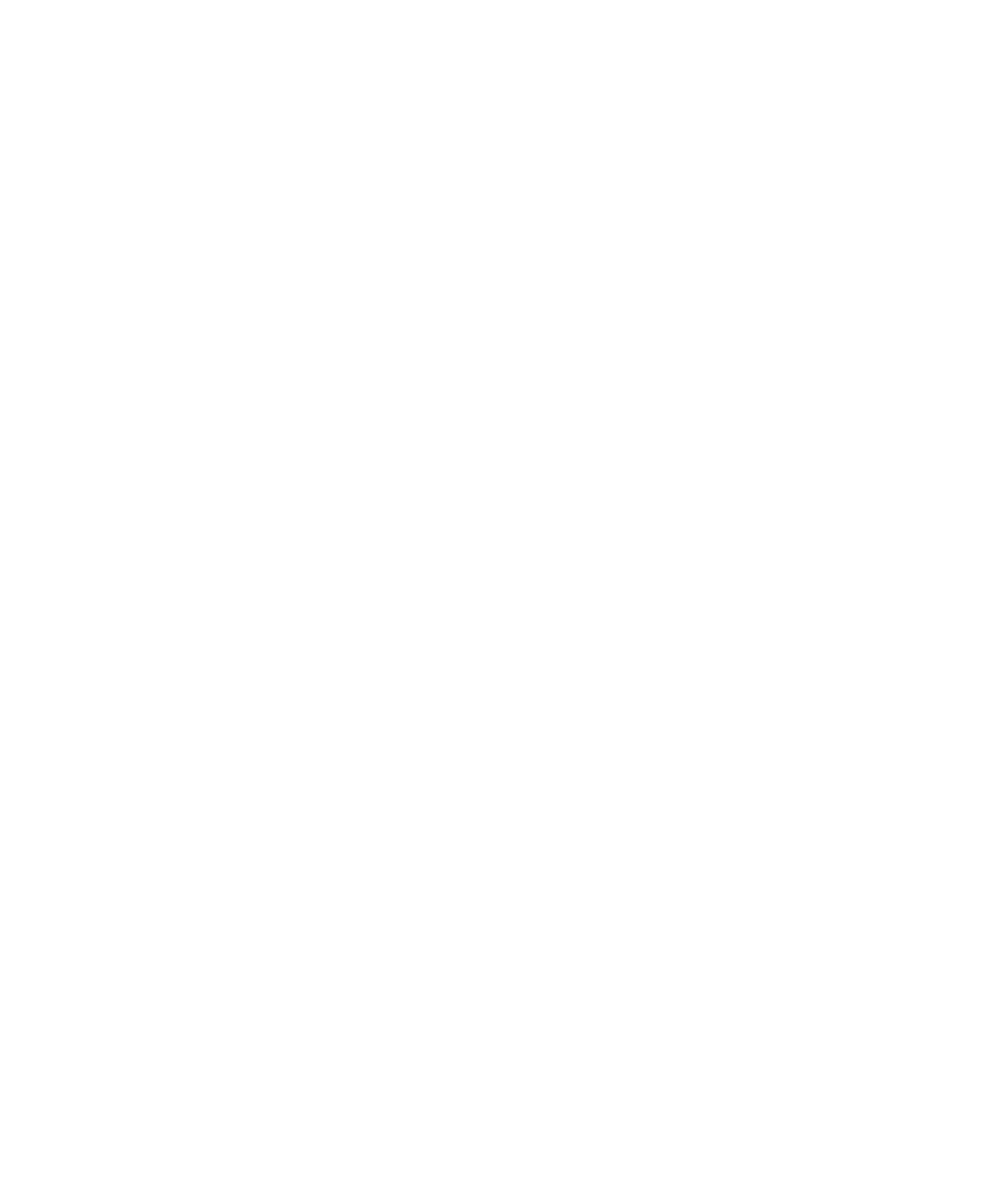 プロスポーツビジネスへの参入